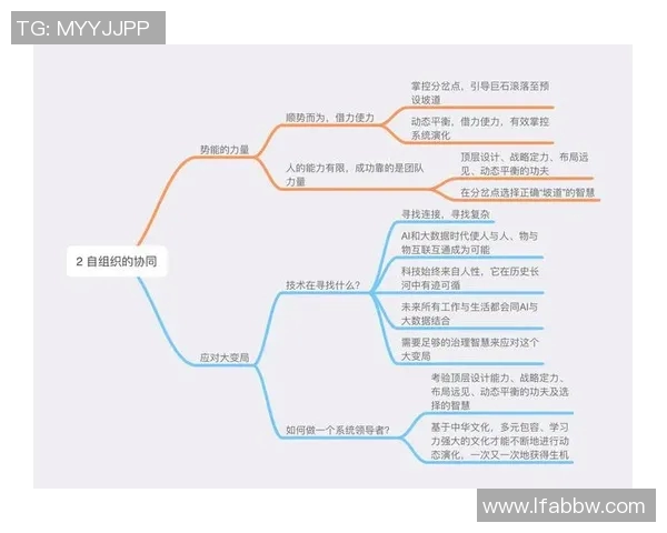 贾诚在职场中如何运用智慧与策略实现个人职业发展的全新路径探讨
