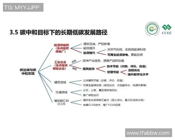 广州篮球队个人能力深度解析与发展潜力探讨