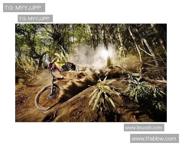 广州足球队的崛起与挑战分析：力量与未来的深度探讨