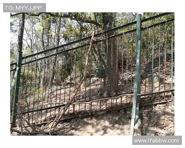 杭州攀岩队心理素质提升之路探讨与实践分享MBA