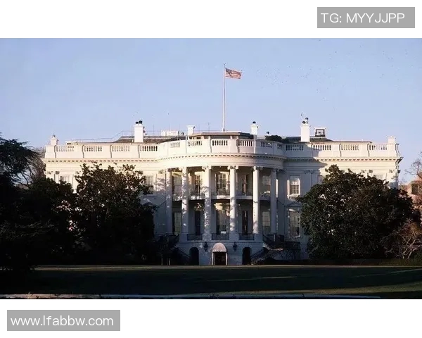 赖斯的崛起与挑战：探讨其在国际关系中的新角色与影响力