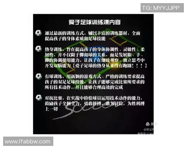 西安足球队实力揭秘：从青训到职业联赛的全景分析与展望